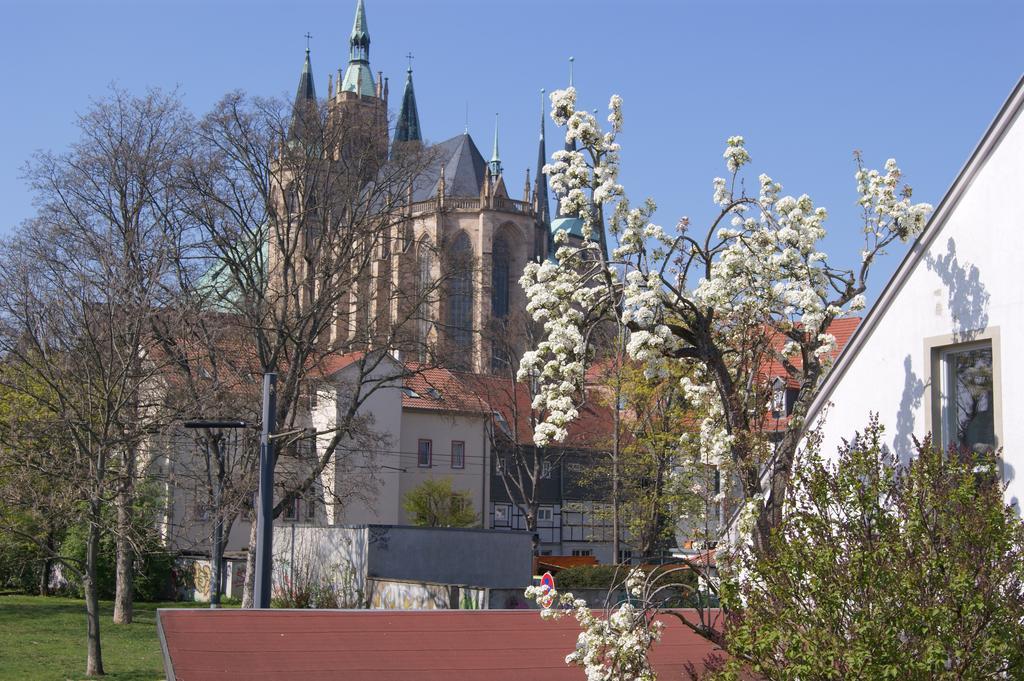 Pension Am Dom Erfurt Eksteriør billede